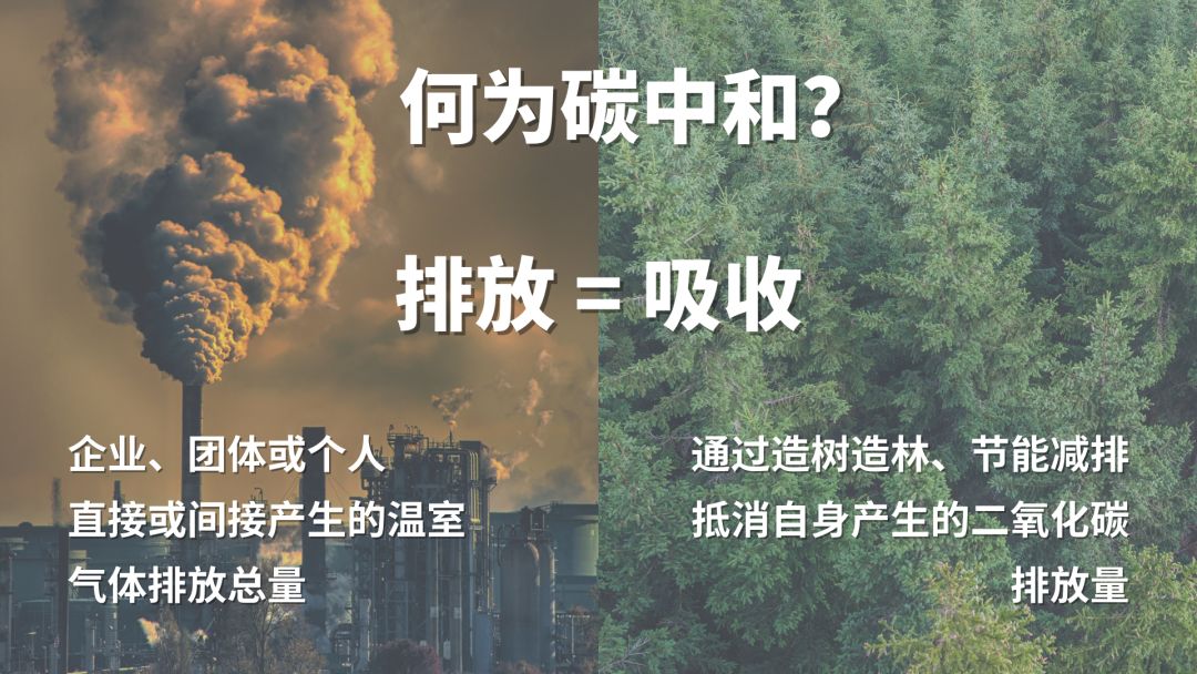 碳中和（carbon neutrality）